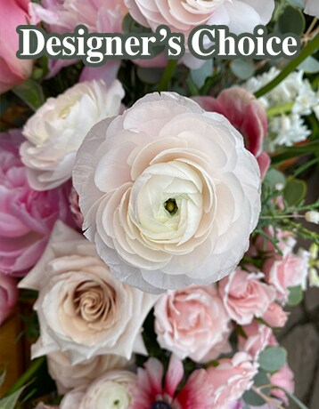 Designer’s Choice
